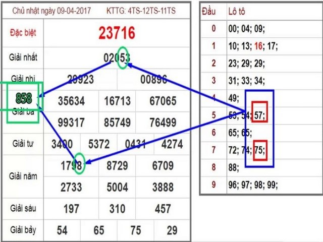 3 càng bằng hình thức quả trám cực kỳ hiệu nghiệm